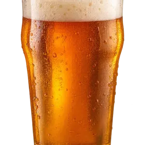ipa pression 50cl
